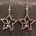Fairy star earrings.